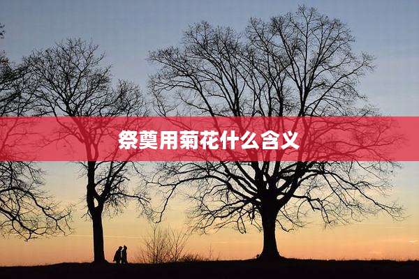 祭奠用菊花什么含义