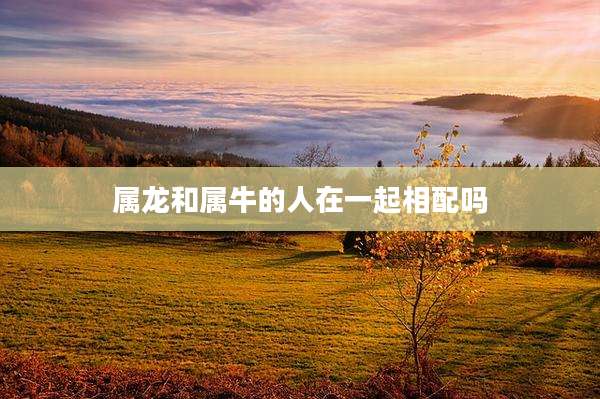 属龙和属牛的人在一起相配吗