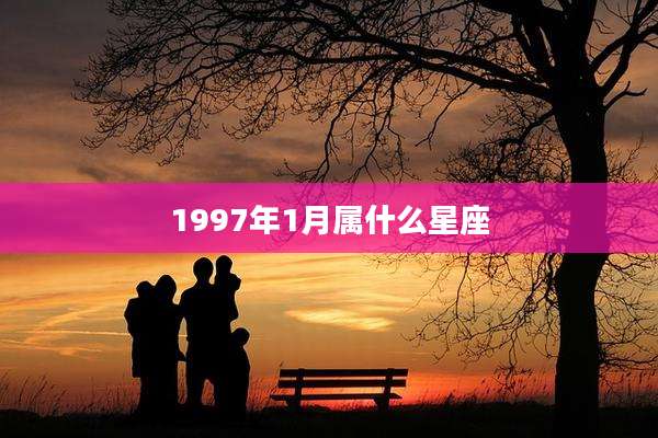 1997年1月属什么星座