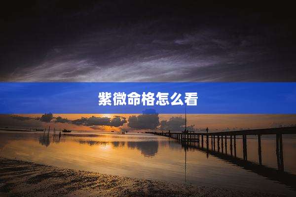 紫微命格怎么看