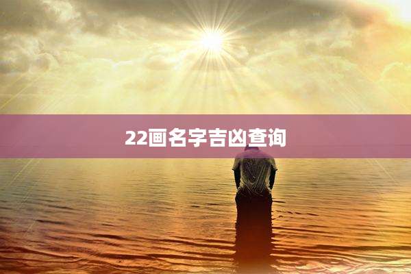 22画名字吉凶查询
