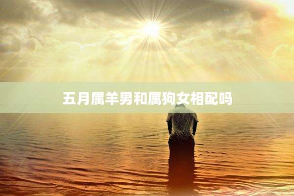 五月属羊男和属狗女相配吗