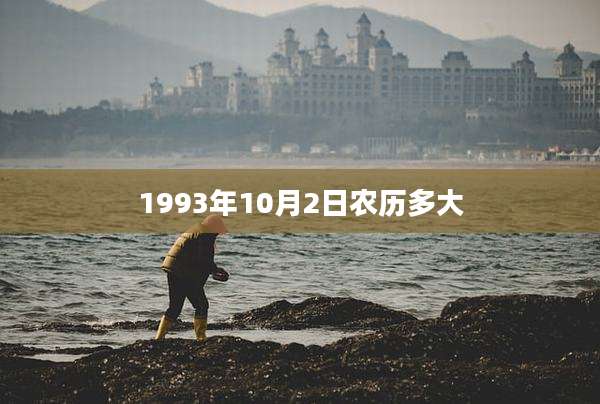 1993年10月2日农历多大