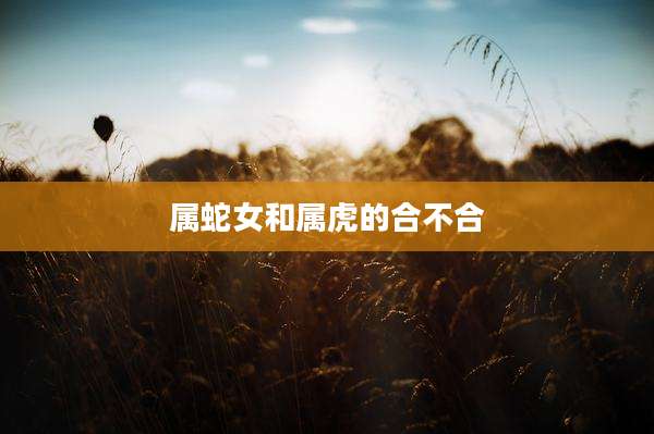 属蛇女和属虎的合不合
