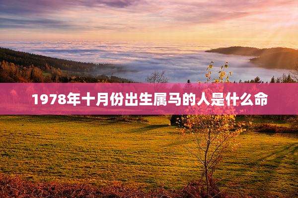 1978年十月份出生属马的人是什么命