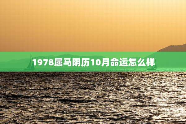 1978属马阴历10月命运怎么样