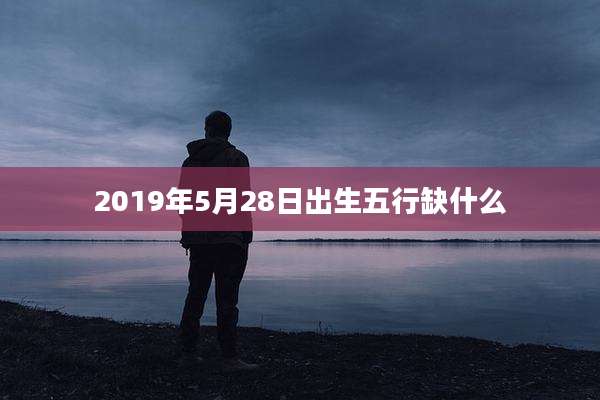 2019年5月28日出生五行缺什么