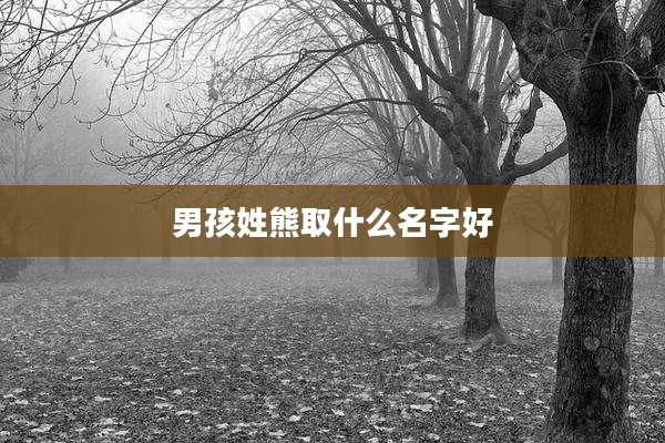 男孩姓熊取什么名字好