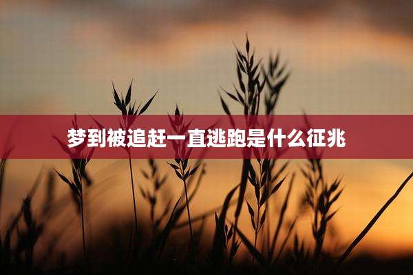 梦到被追赶一直逃跑是什么征兆