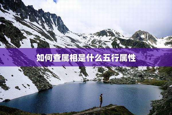 如何查属相是什么五行属性