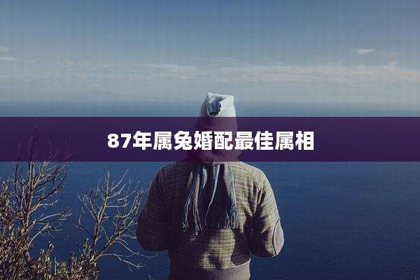 87年属兔婚配最佳属相