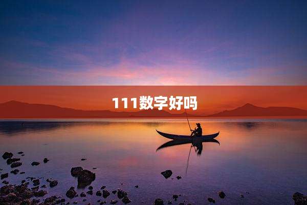 111数字好吗
