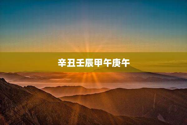 辛丑壬辰甲午庚午