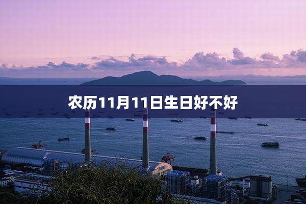 农历11月11日生日好不好