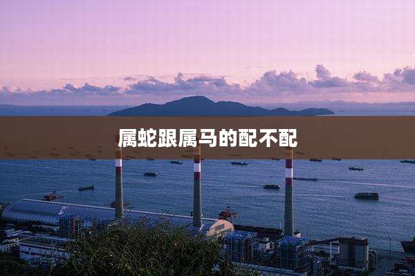 属蛇跟属马的配不配
