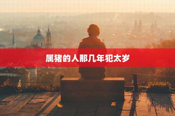 属猪的人那几年犯太岁