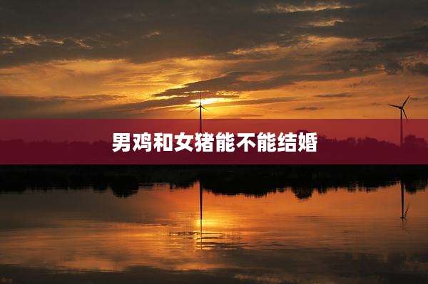 男鸡和女猪能不能结婚