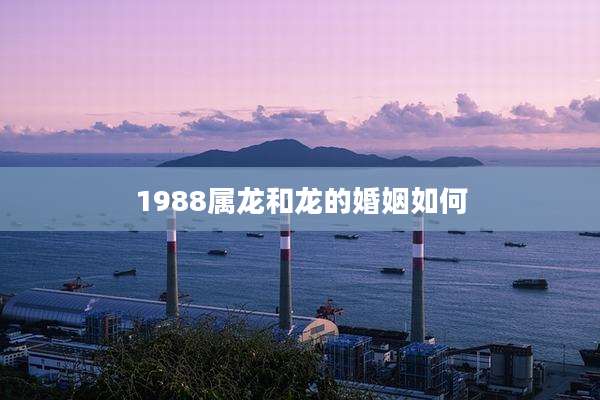 1988属龙和龙的婚姻如何
