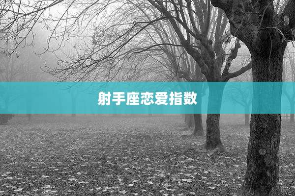射手座恋爱指数