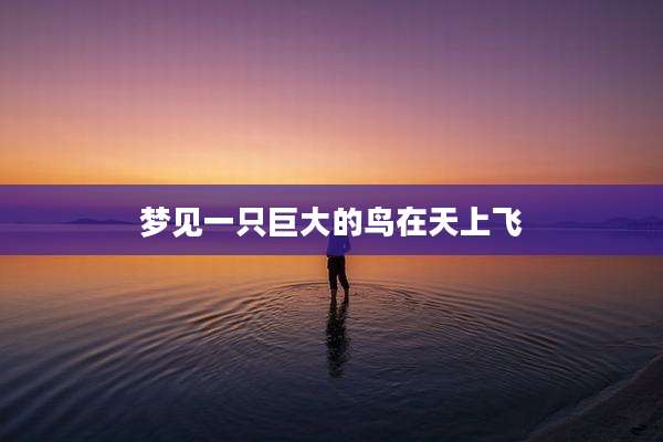 梦见一只巨大的鸟在天上飞