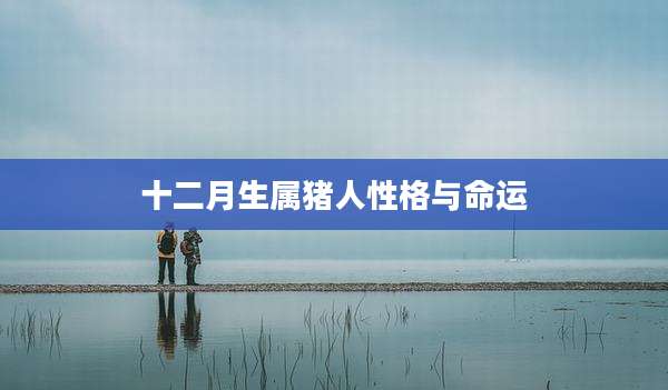 十二月生属猪人性格与命运