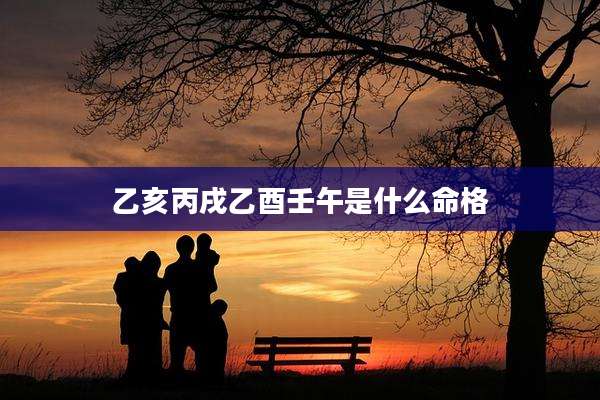 乙亥丙戌乙酉壬午是什么命格