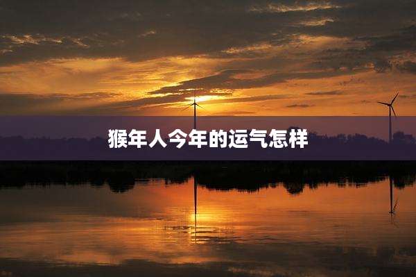 猴年人今年的运气怎样