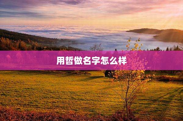 用哲做名字怎么样