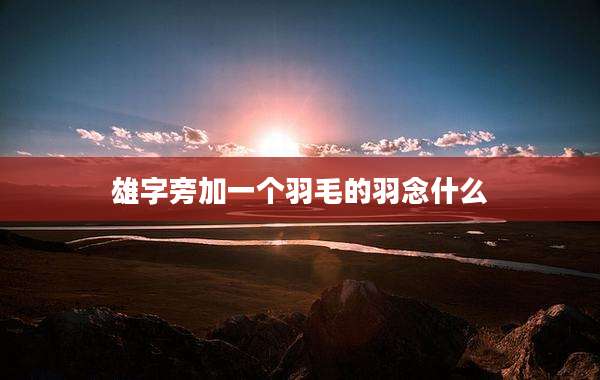 雄字旁加一个羽毛的羽念什么