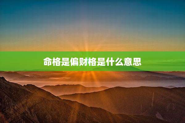 命格是偏财格是什么意思