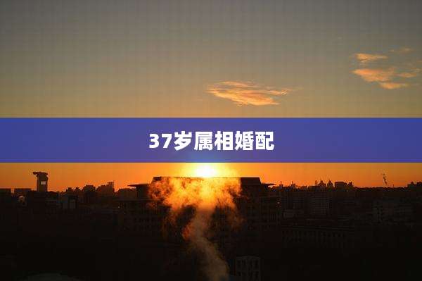 37岁属相婚配
