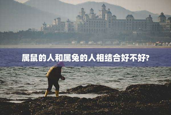 属鼠的人和属兔的人相结合好不好?