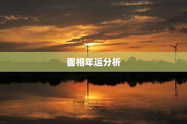 面相年运分析
