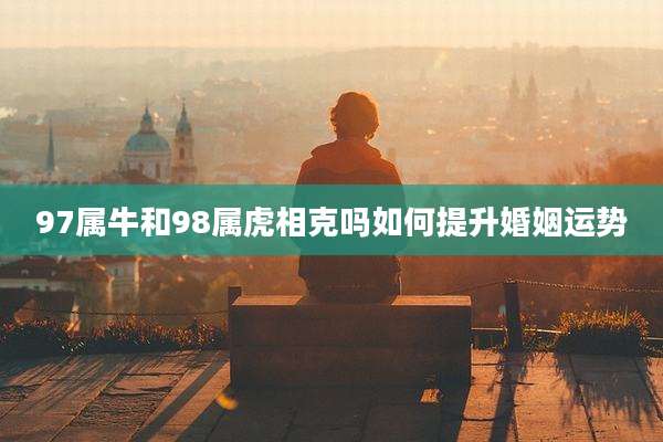 97属牛和98属虎相克吗如何提升婚姻运势