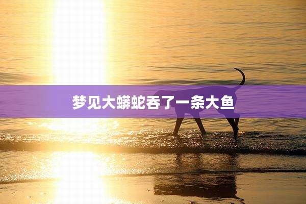 梦见大蟒蛇吞了一条大鱼