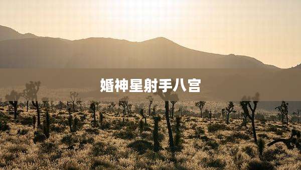 婚神星射手八宫