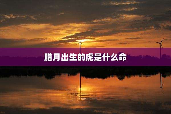 腊月出生的虎是什么命