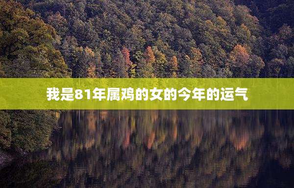 我是81年属鸡的女的今年的运气