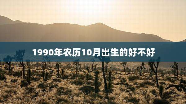 1990年农历10月出生的好不好