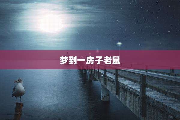 梦到一房子老鼠