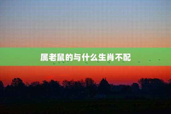 属老鼠的与什么生肖不配