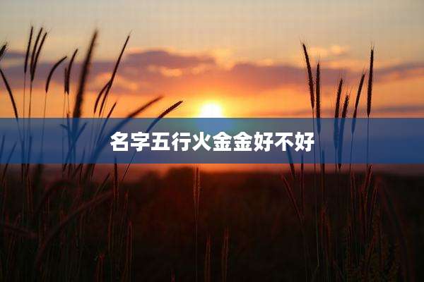 名字五行火金金好不好