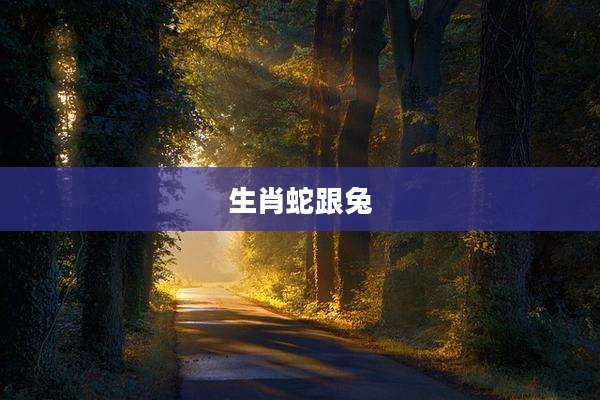 生肖蛇跟兔