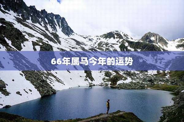 66年属马今年的运势