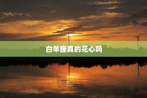 白羊座真的花心吗