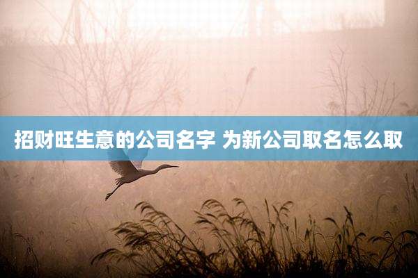 招财旺生意的公司名字 为新公司取名怎么取