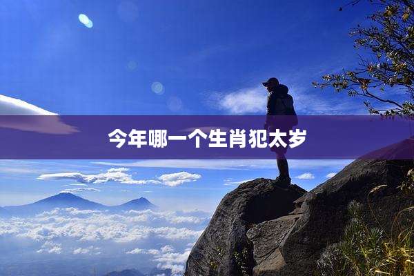 今年哪一个生肖犯太岁