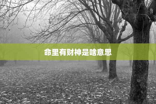 命里有财神是啥意思