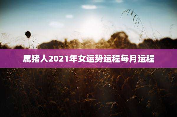 属猪人2021年女运势运程每月运程