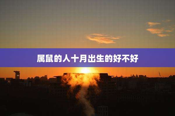 属鼠的人十月出生的好不好